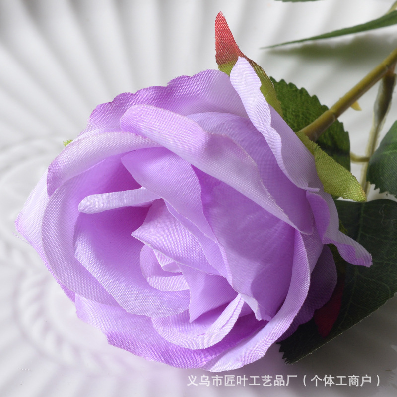 리틀 파리 퍼플