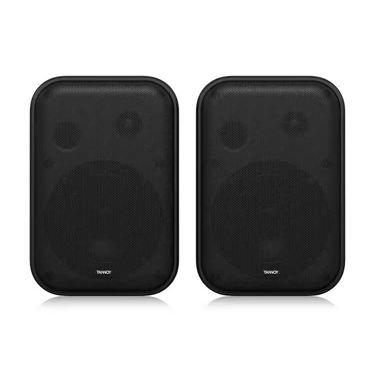 TANNOY/Tianlang VMS1 Passive Speaker Audio Conference Room Cafe Small Site