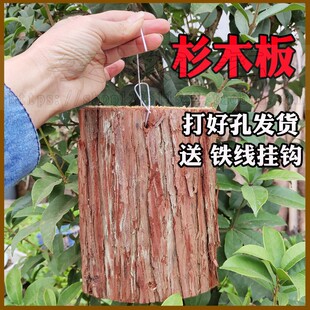 ɼľ��ɼ�䘶ɼľ��ʯ���m�Nֲ�����m�������԰�����m���|��Ƥ��