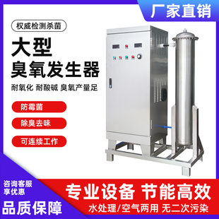 # ll large and medium sized ozone generator air source oxygen source industrial high concentration water treatment swimming pool sewage ozone