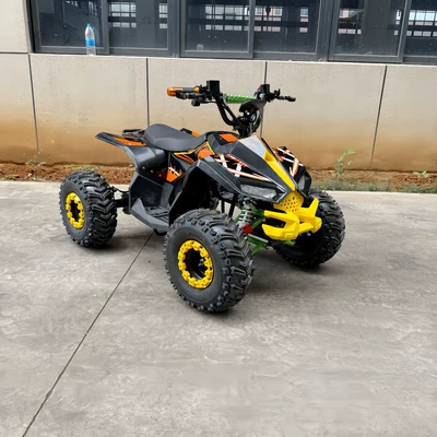 New Model Beach Bike Elektrikli motosikletlər
