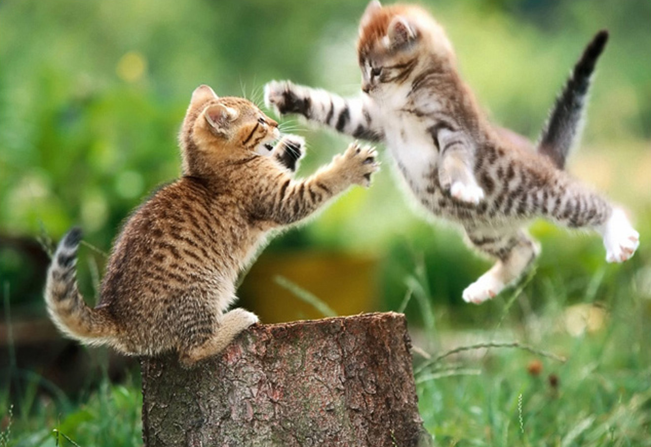 Cross-border 5d Amazon diamante pintura pegatinas hecho a mano DIY animal ladrillo pintura sala de estar pintura decorativa pegatinas al por mayor