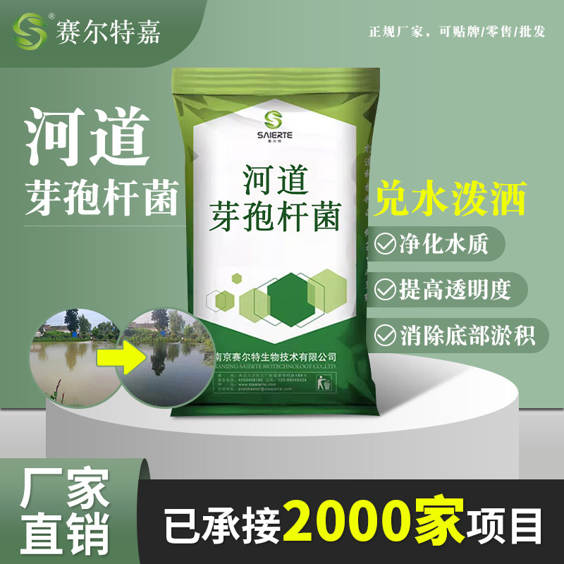 河湖净化剂芽孢杆菌提升水体透明度除悬浮物微生物菌种枯草芽孢