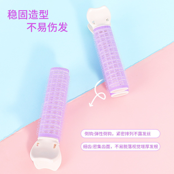 Hairgrip for head top
