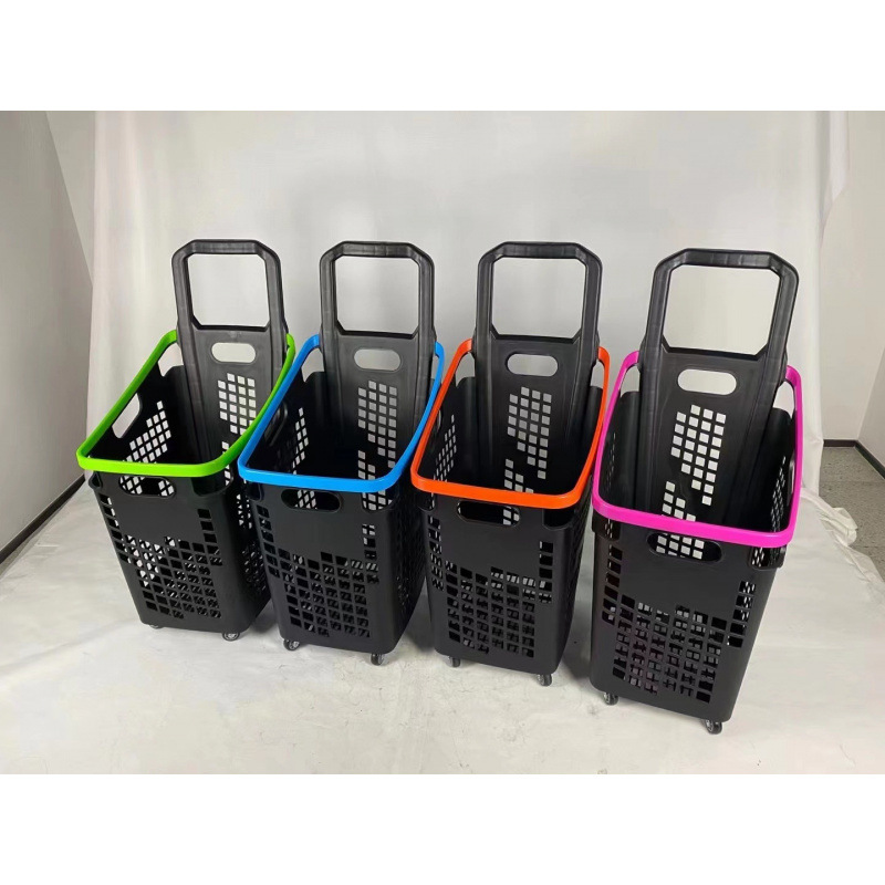 70L 최신 4색 모델