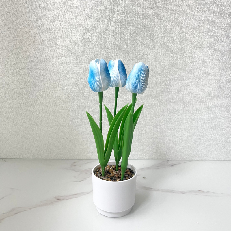블루(높이 25*폭 10cm)