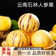 ����˅����S��A�����r�Fժ����ˮ�������������S�Ĵ����Ҏ��