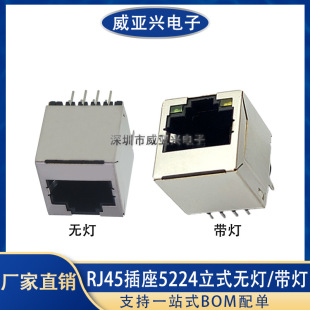 RJ45���� 5224 ��ʽ 8P8C���ξW�j���� 180�Ȏ����Ύ���/�o��