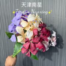 ����6�^�����m����滨���ܾ��l���Ļ������߻�ˇ�ҾӔ[�ŵ���