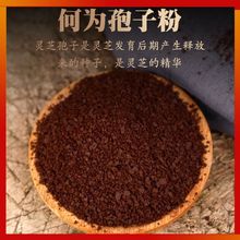 Lɽ`֥ӷ500g^֥ƷٷŞҰƱӷ