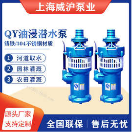 威沪QY小型家用泵注油式铸铁离心泵抽水泵潜水泵油浸泵QY100-4.5