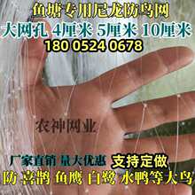 �~���������B�W4����5���׾W��10���ֿ׳������q�������r�Bֳ��W