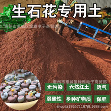 ��ʯ���t����Ȼ�����w�����Gֲ���Ԍ��������V��I�B���B���t����