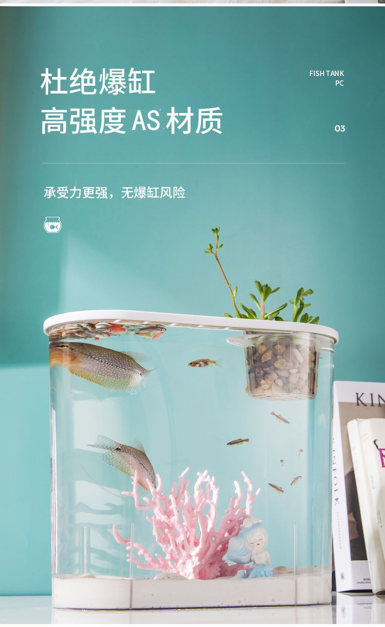 eb33f30d-4990-4723-8556-3387aeb37dee.jpe