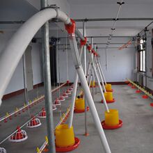 养殖鸡场自动喂料机鹅绞龙全套送料器自动升降水线鸭棚投料输料线