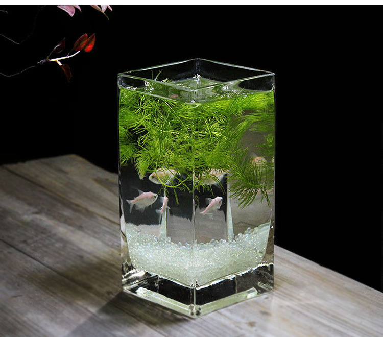 f13e1c59-7329-4d37-8a8a-d76dba4c19e4.jpe