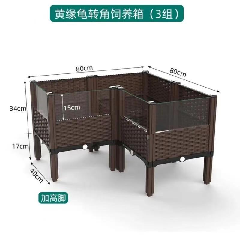 黄縁亀飼育箱、安源台縁閉甲亀苗、造園植物生態環境、亀専用槽飼育箱|undefined