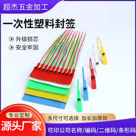 塑料封签服装吊牌防盗防伪防掉包扣运输物流货运标牌园林扎带扎条