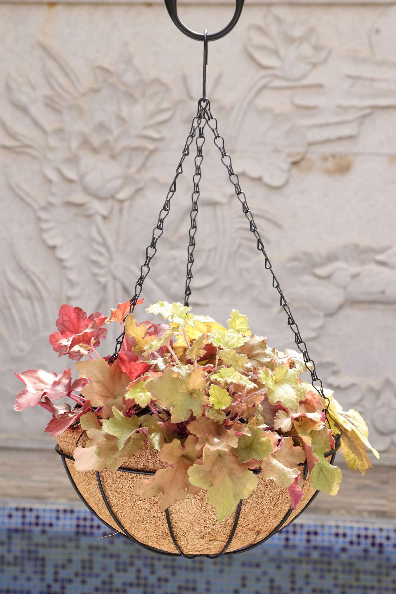 西瓜篮 (2)_副本