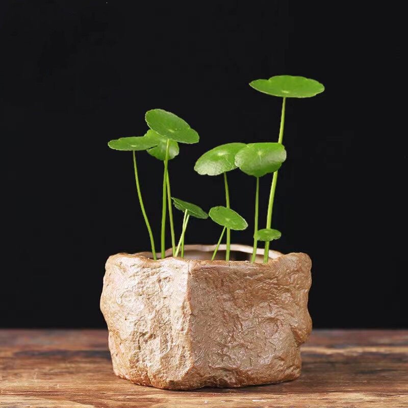 Rough Pottery Antique-Style Stone Non-Porous Hydroponic Flower Pot for Money Grass, Green Radish, and Water Lotus; Water-Cultivation Vessel for Living Room Tabletop Small Bonsai