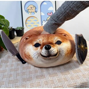 �羳�¿��ҵĵ��ܹ�what the dog doing����ë�q��߿�ͨ���н≺