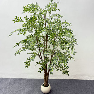 �����ܘ�����Gֲ�b����ͥԺ�쾰�b[���zӰģ������쾰