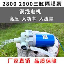 厂家直销2600/2800大流量高压三缸隔膜泵电动喷雾器抽水自吸水泵