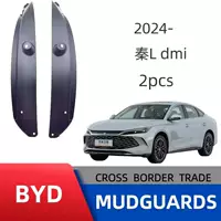 Применимо BYD Qin Ldmi задняя дверь с облицовкой крыло для трансграничных продаж оптовая продажа