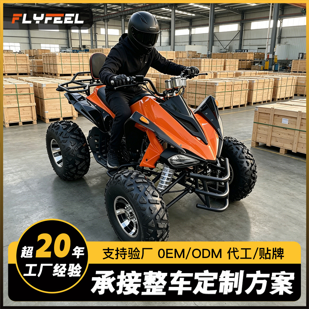 Cuatrimoto Todoterreno Refrigerada por Agua 250CC Dahuang de Hierro y Plástico