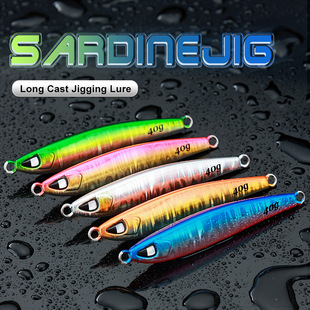 40g 60g 80g 100g sardine iron plate lead fish Luya bait sea fishing boat fishing long cast iron plate bait