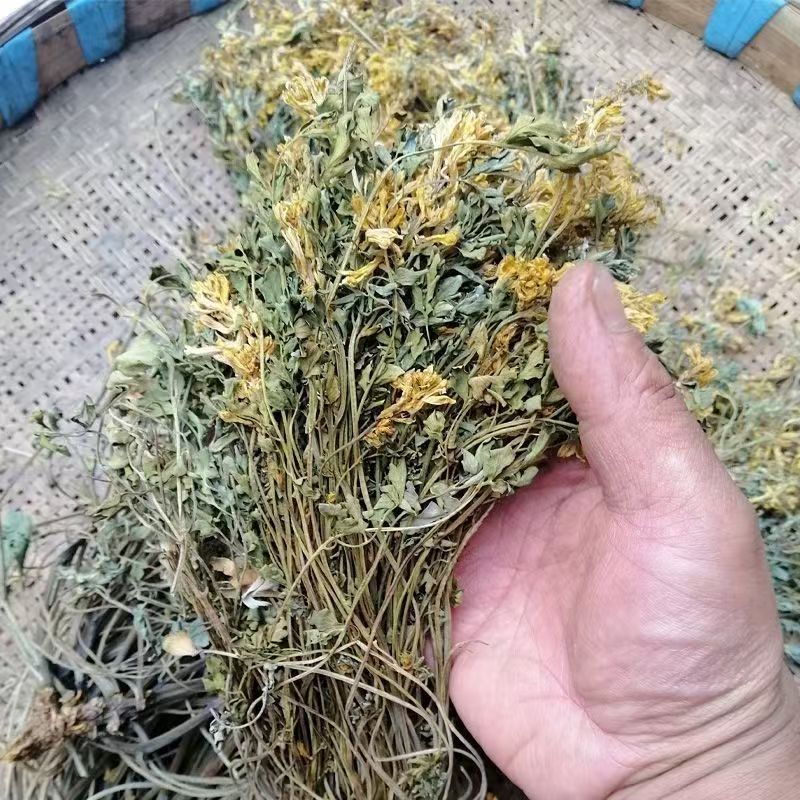 Yan Huang Lian Root (Corydalis saxicola) — Dried Bitter Food Herb for Cooking & Decoction quality and texture