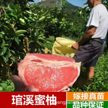 �ĵ��֘���t�ļt�����ּ޽����t���ֹ�������ϱ����Nֲ����Y��