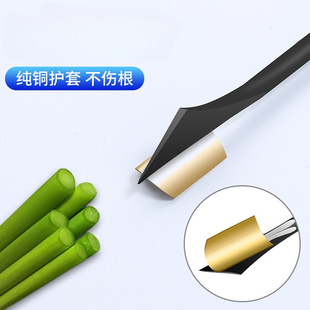 ����̦ ��޷�ո �������΄������̦������ժ����Ĺ���hcds