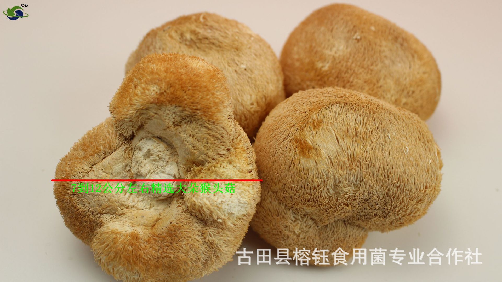 IMG_0036_副本.jpg