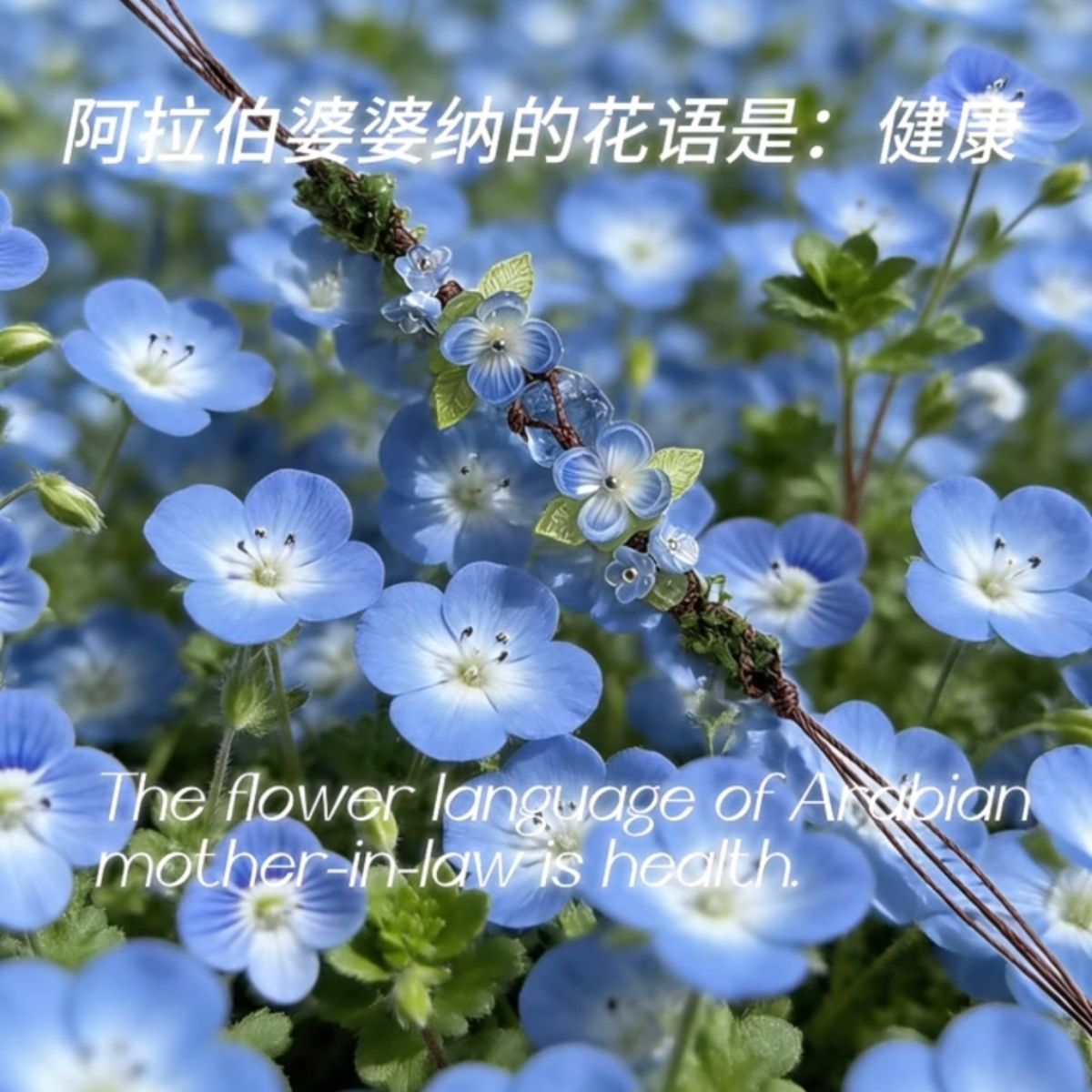 hmqViviiyNSAyin+WuaQt2QLamWBlt8ZnJgy