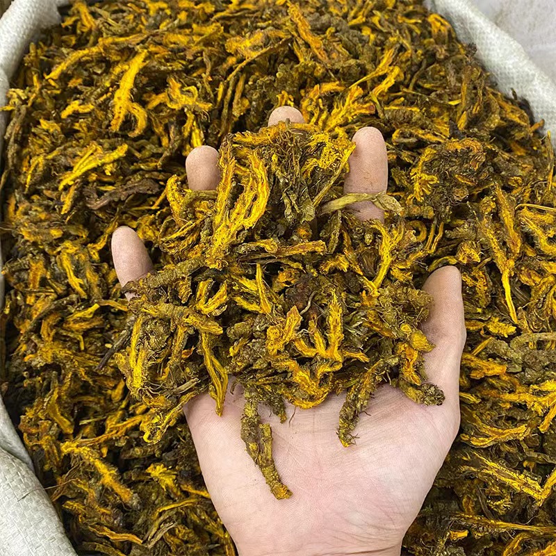 Sichuan Coptis Huang Lian Sliced Dried Herb 500g Traditional TCM Bitter Cooling Root overview
