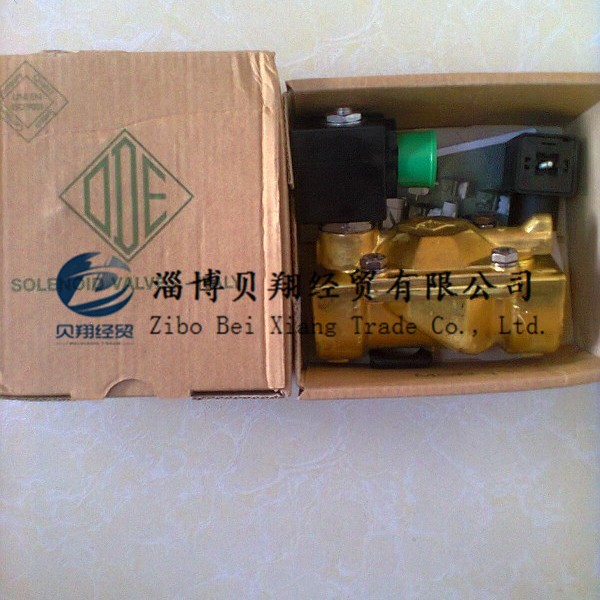 �����ODE��λ��ͨ��ŷ���21W4ZB250 AC220V DN25