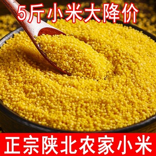 ����SС��2025���r��ꄱ���֬��С���SС�׌����������������s�Z