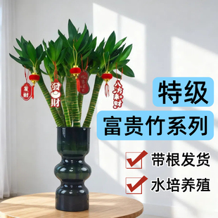 �Ĳ����F���҃����ԑ������B����������֗U���^ˮ����������ƿ