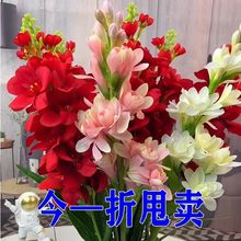 ��Ʒ�������������ذ�󻨝������ļ��Nֲ��������