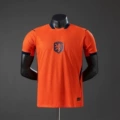 Netherlands Home