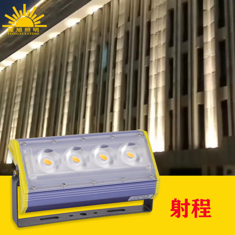 LED户外防水聚光洗墙窄光投光灯罗马柱远射程一束光射灯强光