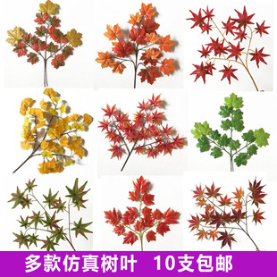 ���~�~���b[�PDIY���߻�c���ޘ�֦�Ƶ�[����ə���