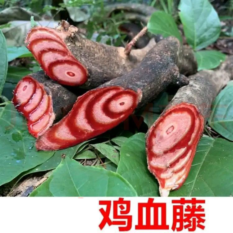 Dried Spatholobus Stem Ji Xue Teng Chicken Blood Vine 500g Raw Herb for Wine Infusion and Decoction in use