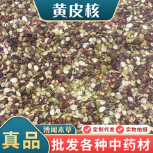 中药材批发黄皮核广西黄皮果核黄弹子核山黄皮核鸡皮果黄皮子籽