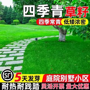 ��ƺ�����ļ������o���R�����ͺ�������ͥԺ��̺�ݾG�������ݷN��