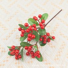 6^b͏dҾ辰[@־G͏db