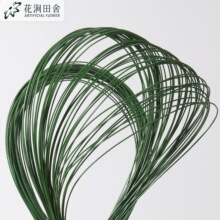 ����䓲���ˮ���F�� ��c����Gֲ�廨�����ָ�ܛ�z�¾��l��ֲ��