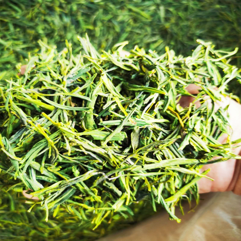 25 лет Huangshan Maofeng New Tea Страхование труда Белый чай оптовые производители альпийского чая