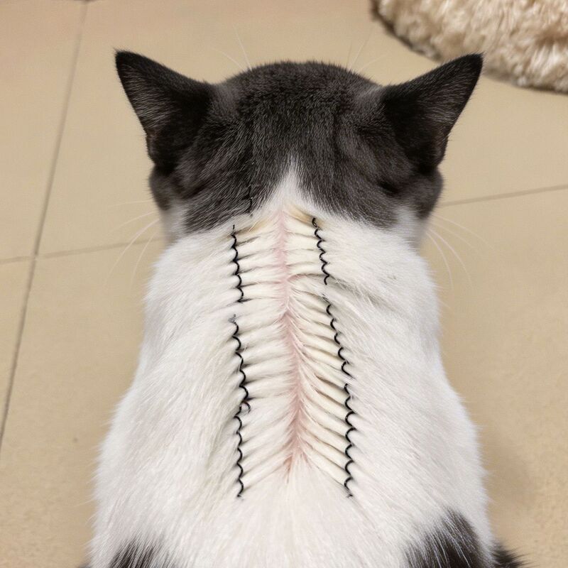 Say Goodbye to Manual Handling! Cat Hair Removal Clip, Hair Fixing Auxiliary Tool, Pet Hair Clip, Universal for Dogs
